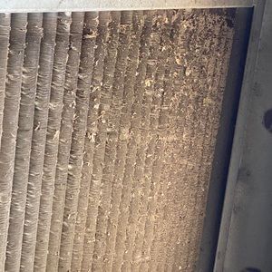 Meet your Posher, Chad